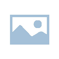 国家税务总局关于在新办纳税人中实行增值税专用发票电子化有关事项的公告